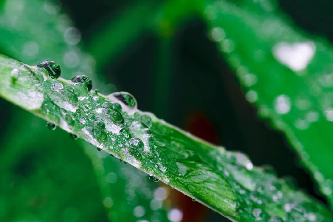 【雨の日のおうち時間】